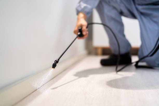 Licensed Termite Control service in Beloit, WI - Nex Pest Control