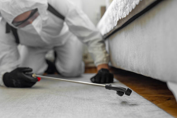 Professional Termite Control technician working in Beloit, WI