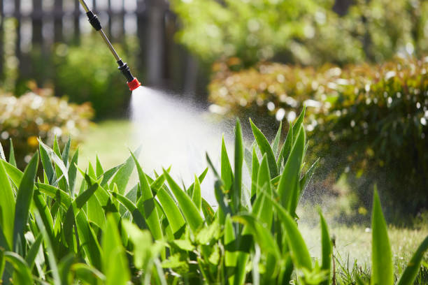 24/7 Emergency Termite Control experts in Beloit, WI